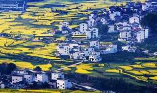 清明节去哪里踏青 这五个旅游胜地最受欢迎