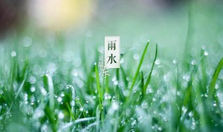 雨水经典祝福语 你知道吗