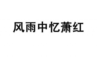 萧红的简介 萧红被誉为什么