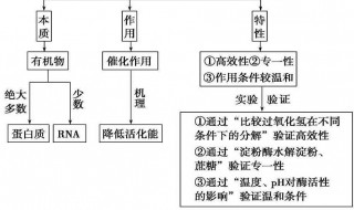 化学反应的基本类型有哪些 化学反应的基本类型是什么呢