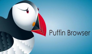 puffin怎么玩网页游戏 puffin玩网页游戏方法简述