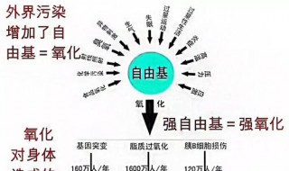 自由基卤代反应经历哪几个阶段 三大阶段需谨记