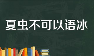 夏虫不可语冰怎么回击 夏虫不可语冰的回击方法