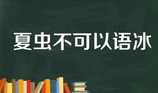 夏虫不可语冰是什么意思 这句话出自哪里