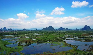 沼泽地被称为地球什么 沼泽地被称为地球之肾