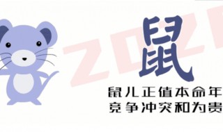 2020最吉的四大生肖 2020最吉的四大生肖是什么