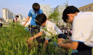 拔草寻蛇的典故 拔草寻蛇是什么意思