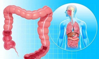 宿便怎么快速清除掉 怎样才能排除体内宿便