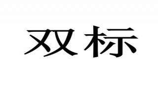 大型双标现场是什么意思 大型双标现场这句网络用语什么意思