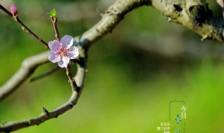 春分时间怎么定 如何确定春分