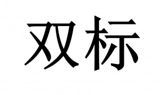 双标是什么意思 什么叫双标