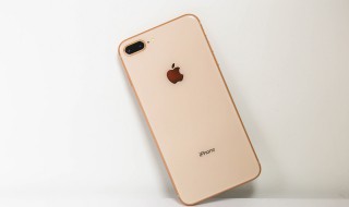 苹果8p通用里没有辅助功能 iPhone8Plus的辅助功能选项在哪里