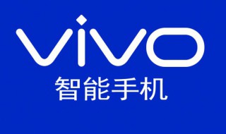 vivoz5i手机忘记密码怎么办 vivoz5i手机忘记密码解决方法