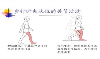 平衡功能分为哪三类 平衡功能测定的目的是什么