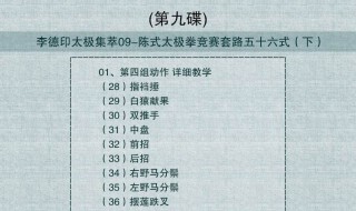 24式简化太极拳教学要点 招式是什么