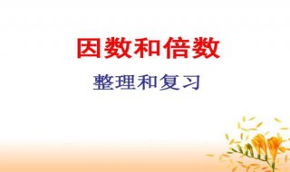 4,47,57其中哪个数有两个因数? 什么是因数