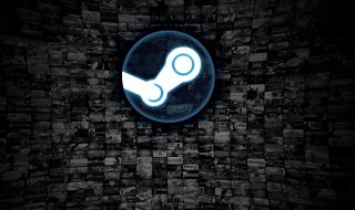 steam无充值加好友 steam没法充值没法加好友