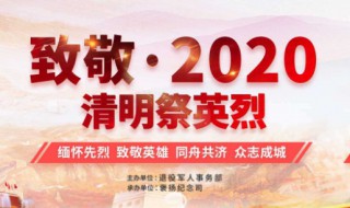 2020清明节几点扫墓好 扫墓别样形式