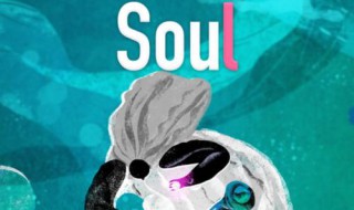 soul获取失败怎么回事 soul获取失败什么原因