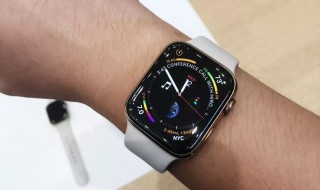 apple watch蜂窝网络是什么意思 AppleWatch蜂窝网络是干什么的