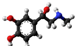 肾上腺素能神经兴奋时其释放的递质是 肾上腺素能神经兴奋时其释放的递质是什么