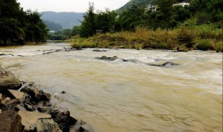 浑水变清水需要什么东西 浑水变清水需要的材料有哪些