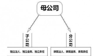 总公司与分公司的关系是什么 总公司的作用