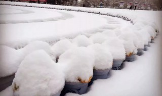 雪融化时为什么会冷 化雪冷的原因是什么