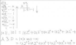 十进制如何转二进制 下面5个步骤帮你解决