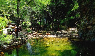 秦岭江山风景区怎么样 想去的先来这里了解下