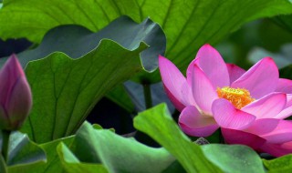 六月份七月份是什么季节 这个常识都知道