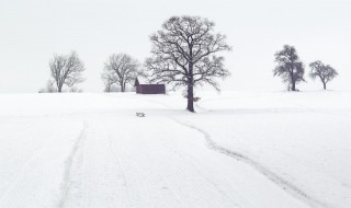 赞美雪的优美句子 表达雪景的说说