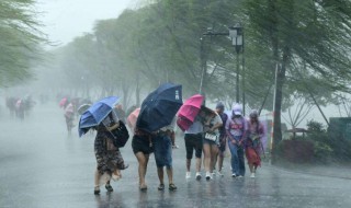 狂风暴雨是指春夏秋冬哪个季节 了解一下