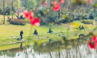 春季钓鱼早上好呢还是下午好 各有什么优势