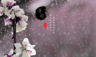 清明时节雨纷纷这首这个批注怎么做 清明时节雨纷纷这首这个批注可以怎么做