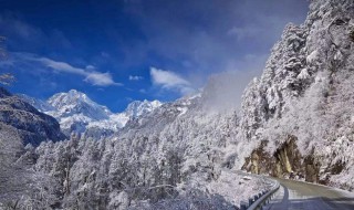 阿尔卑斯山南坡物种丰富的原因 阿尔卑斯山南坡为什么物种丰富