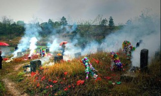 已故亲人坟头草很旺盛可以除草么 已故亲人坟头草很旺盛可以除草