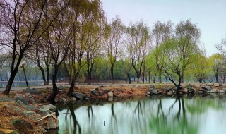 四园春景描写的是什么季节 四园春景的写作背景