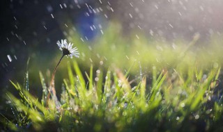 农历4月19日是什么季节 该季节有什么特点