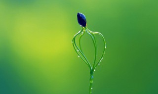 生物酶的作用特点 给大家介绍一下