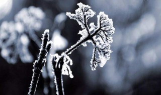 一年中最后一个季节是什么时候 一年中什么时候是最后一个季节