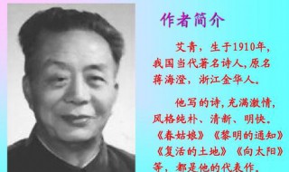 艾青绿写了什么 诗歌内容介绍