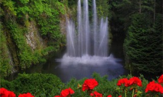 七月的天山写的是什么季节的景物 文章内容介绍