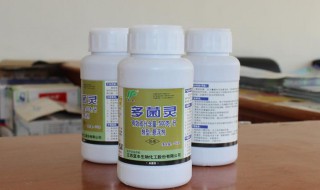 喷多菌灵注意什么? 多菌灵的作用是什么