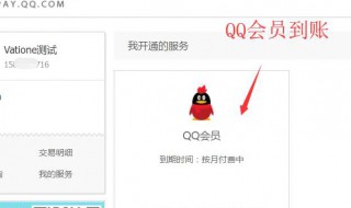 QQ会员的红钻有什么用 QQ会员的红钻特权介绍