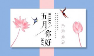 五月是夏天还是春天 五月属于什么季节