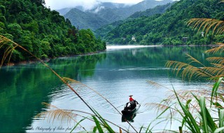 如何让池塘里的浑水变清 让池塘里的浑水变清的方法