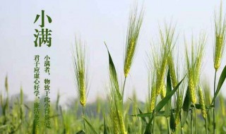 小满节气 该节气是什么时候