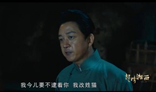 潘粤明主演的盗墓片叫什么 鬼吹灯之怒晴湘西剧情简介