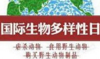 生物多样性日宣传标语 国际生物多样性日宣传标语